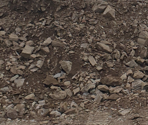 crushed-stone